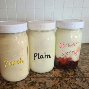 Flavored Yogurt