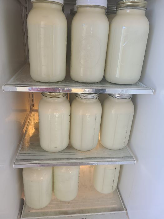 Raw Milk - Image 2